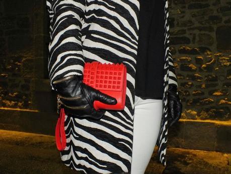 Zebra 4 Ardoaraba Zebra 4 Ardoaraba