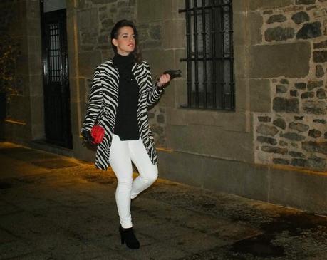 Zebra 4 Ardoaraba Zebra 4 Ardoaraba