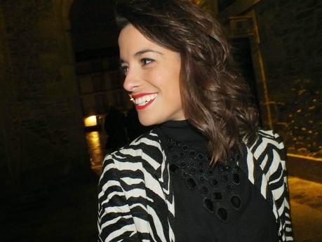 Zebra 4 Ardoaraba Zebra 4 Ardoaraba