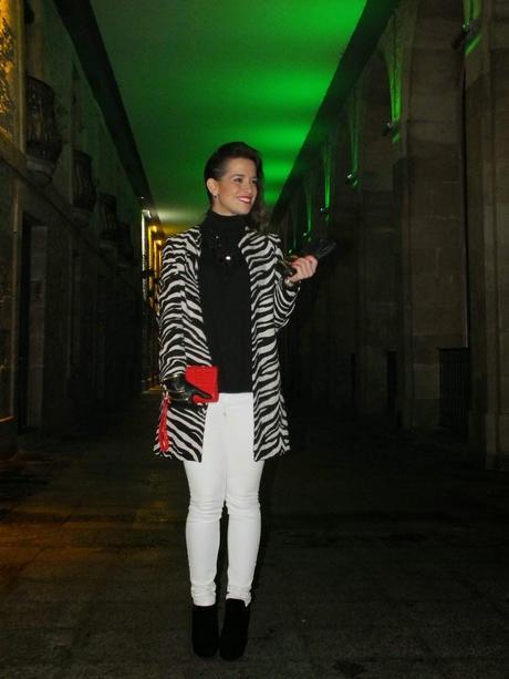 Zebra 4 Ardoaraba Zebra 4 Ardoaraba