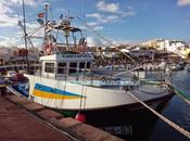 Pesca industrial palangre lista roja