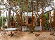 Restaurante Fuzion, mundo para sentidos