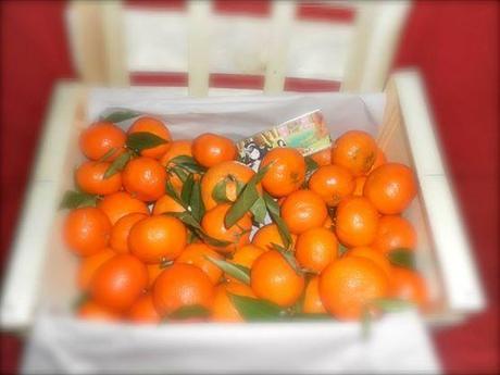 comprar naranjas online, naranjas de valencia, naranjas, mandarinas de valencia, comprar mandarinas online,