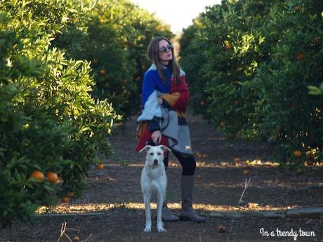 outfit capa zara inatrendytown