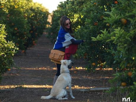 outfit capa zara inatrendytown