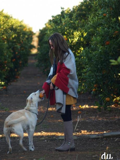 outfit capa zara inatrendytown