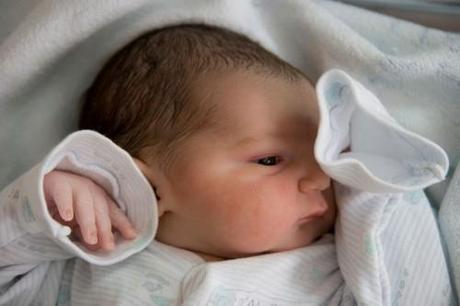 La Fecundación in Vitro es un gran negocio que crece imparable Técnicas de reproducción asistida