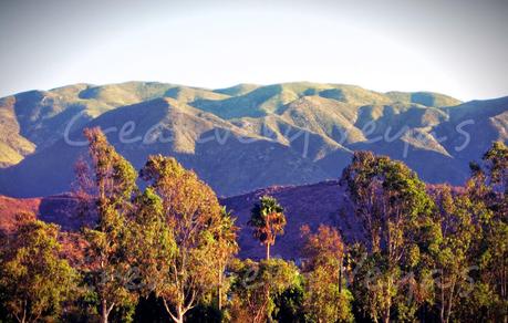 Un pedasito de mi Paseo.