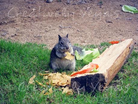 Un pedasito de mi Paseo.