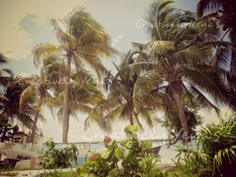 Un pedasito de mi Paseo.