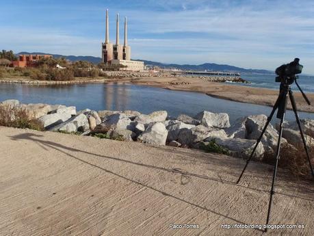 ¿Otro vertido sin incidencia mediambiental ?