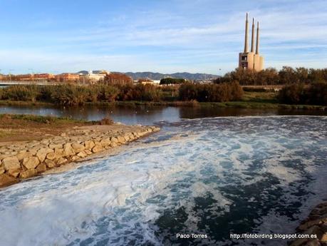 ¿Otro vertido sin incidencia mediambiental ?