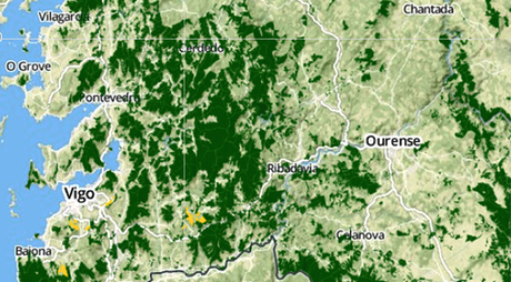 Montenoso: cartografiando comunes en el monte