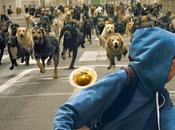 'White God' versión canina Amanecer Planeta Simios'