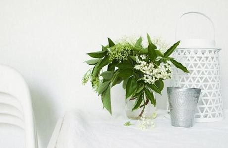 La casita de invitados