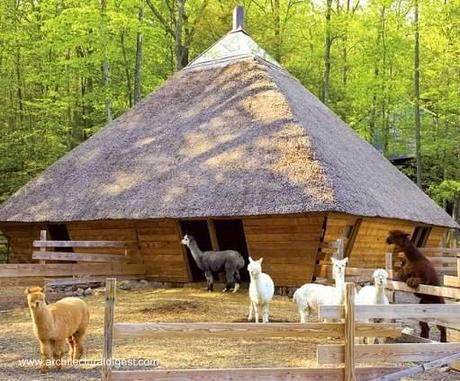 Cabaña orgánica forma diamante en Estados Unidos. Cabaña orgánica forma diamante en Estados Unidos.