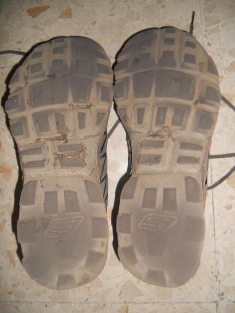 Jubilación Skechers Go Bionic Trail