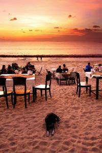 Luna de miel en Bali Luna de miel en Bali