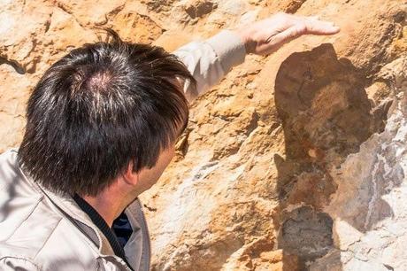 Hallan nuevas pinturas del Neolítico en el abrigo de Pinos de Benissa (Alicante)