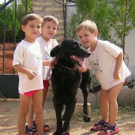 Martes Parlanchín #26