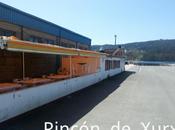 muelle