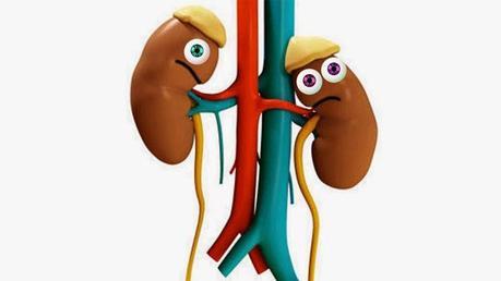 De nuevo la historia de que las dietas altas en proteínas dañan la función renal... De nuevo la historia de que las dietas altas en proteínas dañan la función renal...