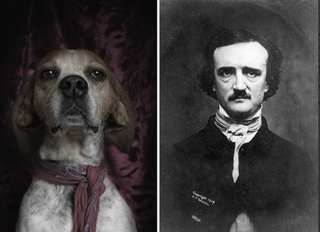 Edgar Allan Poe y su idéntico canino