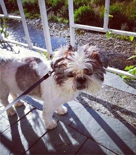 RESUMEN MOMENTOS JULIO