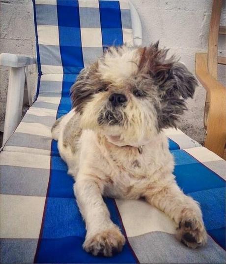 RESUMEN MOMENTOS JULIO