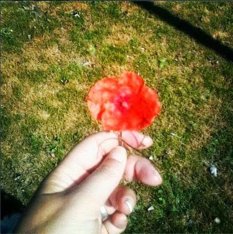 RESUMEN MOMENTOS JULIO