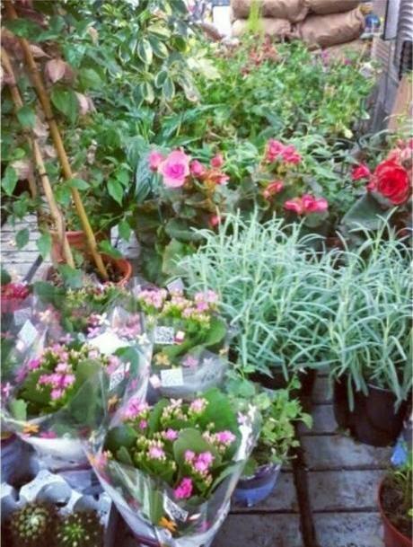 MOMENTOS JULIO SEMANA III