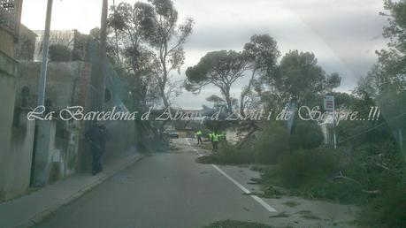 TEMPORAL DE VIENTO EN EL VALLÉS...BARCELONA¡¡¡9-12-2014...!!!