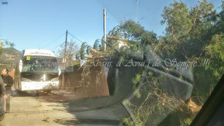 TEMPORAL DE VIENTO EN EL VALLÉS...BARCELONA¡¡¡9-12-2014...!!!