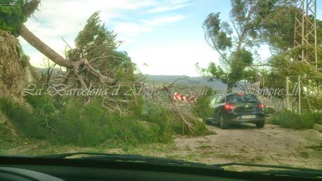 TEMPORAL DE VIENTO EN EL VALLÉS...BARCELONA¡¡¡9-12-2014...!!!