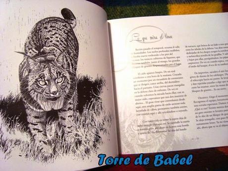 Precioso libro ilustrado + sorteo