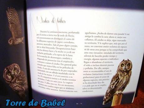 Precioso libro ilustrado + sorteo