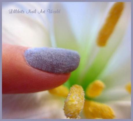 Buhito con terciopelo