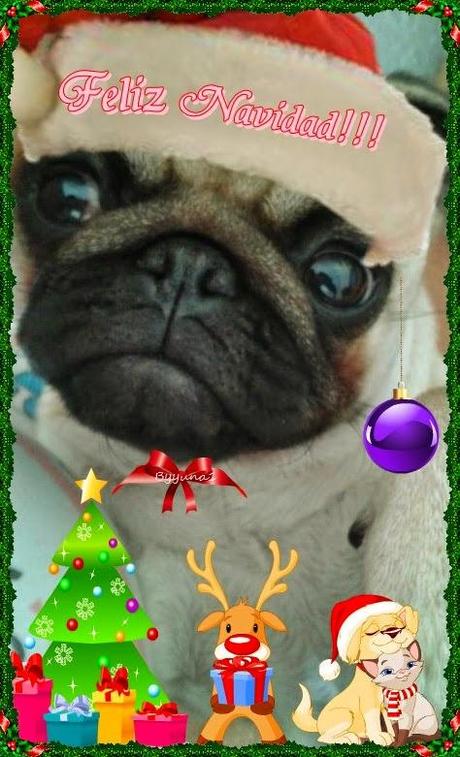 FELIZ  NAVIDAD