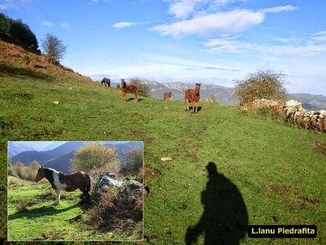 Por las brañas quirosanas de Toriezo, Faedo y Fresnéo