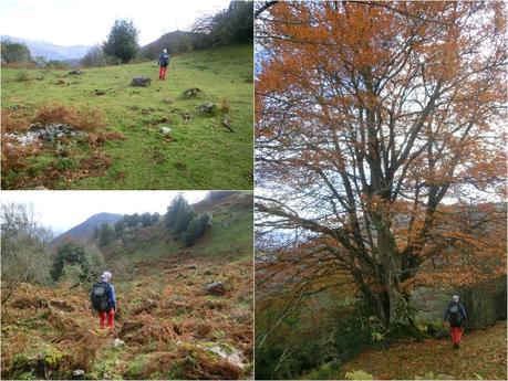 Por las brañas quirosanas de Toriezo, Faedo y Fresnéo