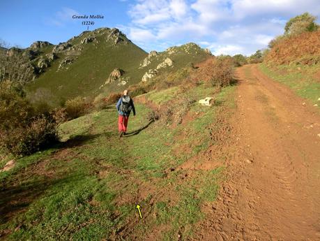 Por las brañas quirosanas de Toriezo, Faedo y Fresnéo
