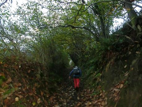 Por las brañas quirosanas de Toriezo, Faedo y Fresnéo