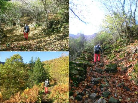 Por las brañas quirosanas de Toriezo, Faedo y Fresnéo