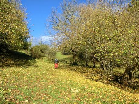 Por las brañas quirosanas de Toriezo, Faedo y Fresnéo