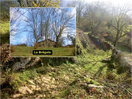 Por las brañas quirosanas de Toriezo, Faedo y Fresnéo
