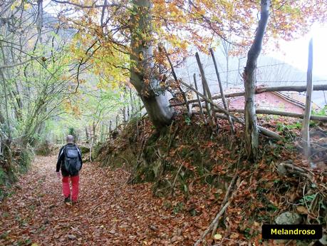 Por las brañas quirosanas de Toriezo, Faedo y Fresnéo