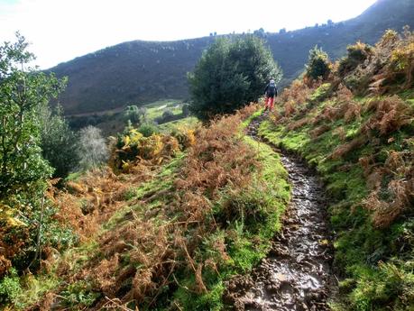 Por las brañas quirosanas de Toriezo, Faedo y Fresnéo