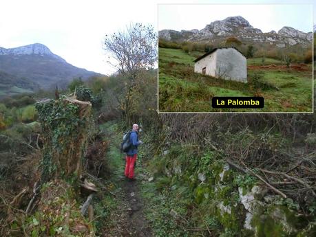 Por las brañas quirosanas de Toriezo, Faedo y Fresnéo