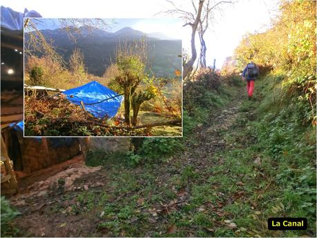Por las brañas quirosanas de Toriezo, Faedo y Fresnéo