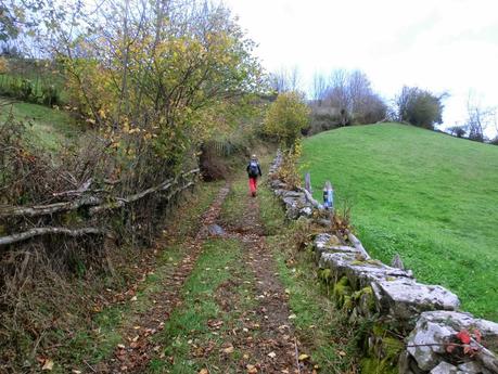 Por las brañas quirosanas de Toriezo, Faedo y Fresnéo